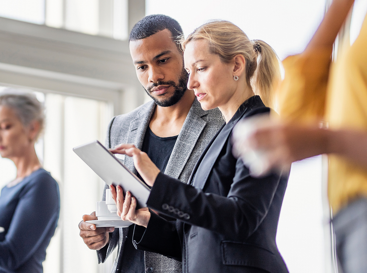 Portfolio leadership and oversight preview