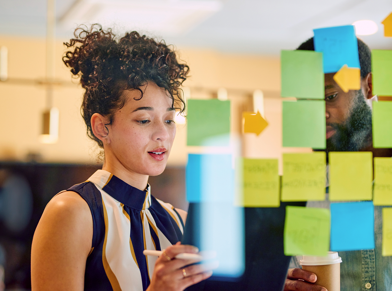 Portfolio leadership and oversight preview
