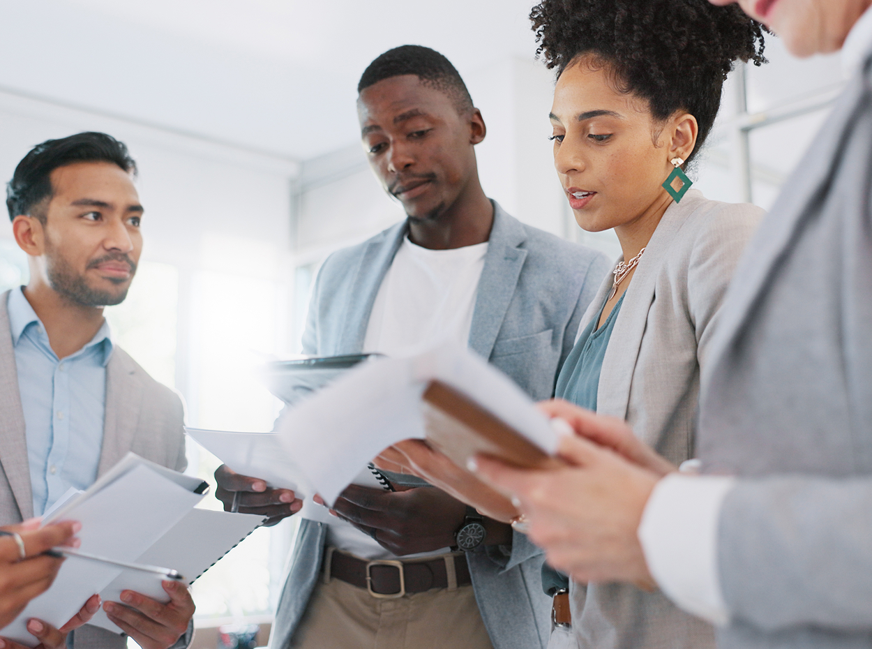 Portfolio leadership and oversight preview